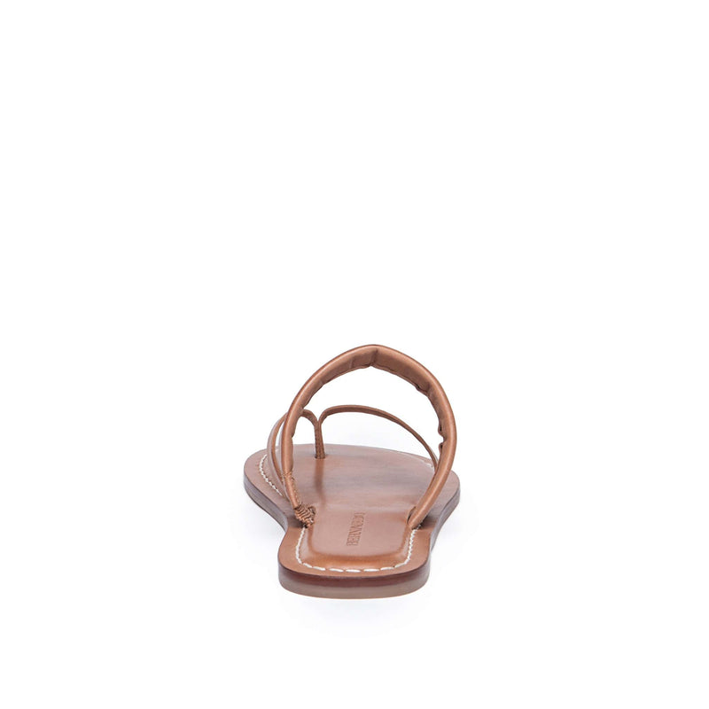 Bernardo Leia Thong Platte Sandalen Dames Bruin | NFE7257ZD